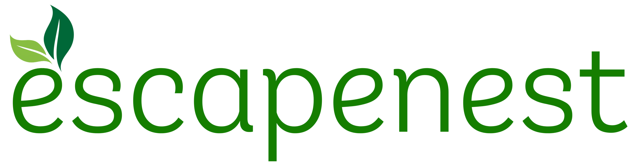 cropped Main Logo scaled 1